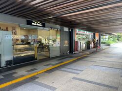 Blk 42A Skyoasis @ Dawson (Queenstown), HDB 3 Rooms #511934301